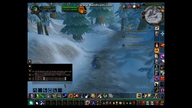 Где купить всех рассовых маунтов за Альянс WoW 3.3.5