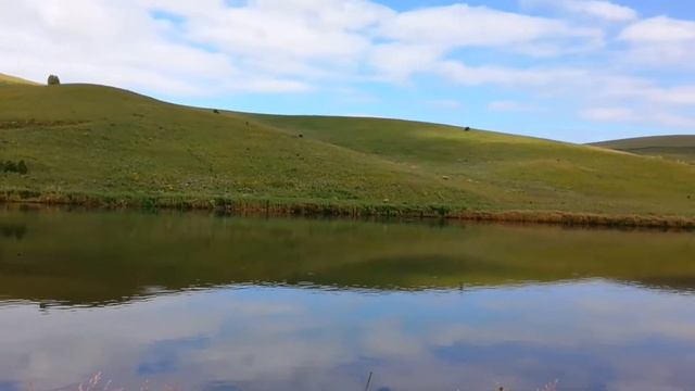 Рыболовный день на платнике ЛПХ Березов ключ с. Солонешное
