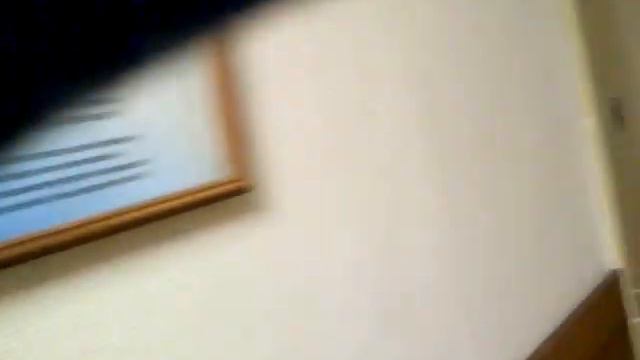 УМВД БИБИРЕВО как получить документы АПАТРИДА смотреть онлайн