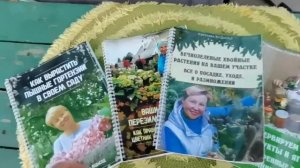 Как я плачу, когда обрезаю ФУКСИИ. Как и где они зимуют?