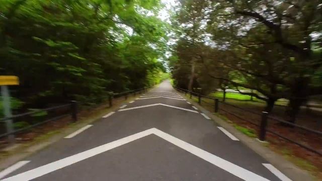Insta360 Go 2 - Best Tiny Action Camera For Cycling Videos