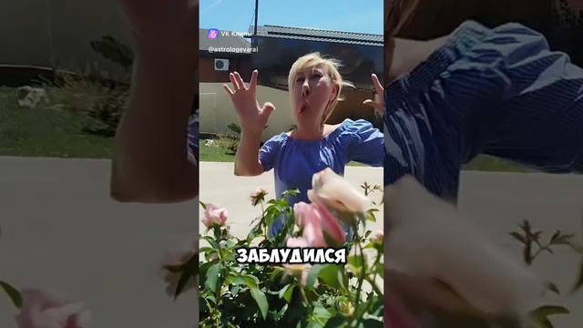 Запись за СЧАСТЬЕМ к астрологу Еве Рай