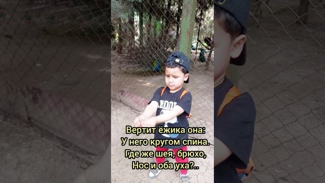 Тихая сказка. Самуил Маршак смотреть онлайн