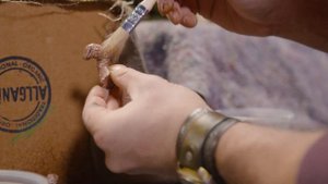 Weta Workshop Behind the scenes: Our artists at work on Thra
