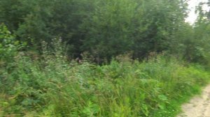 Троицко-Печорск. Видео прогулка по затон ПУРП и местечку Абар. (14.08.22)#троицкопечорск