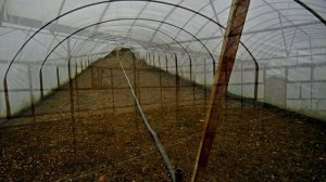 Купить дом с теплицами в ст. Старовеличковская| Переезд в Краснодарский край