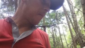 Гриб веселка.ем в сырую.первый раз.