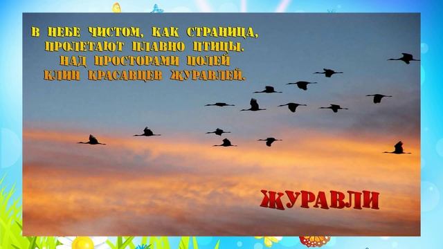 Презентация домашние и дикие птицы. Развивающее видео для детей
