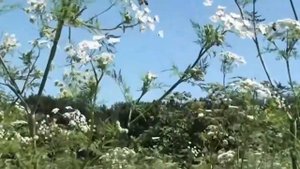 Видеоэкскурсия по городу Новоульяновску