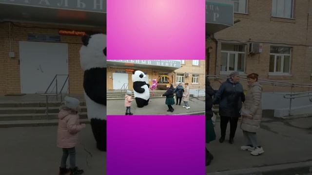 Панда ЕЖЕВИКА встречает и поздравляет двух красавиц; ) смотреть онлайн