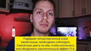 Пищевая аллергия у кошек! Почему кот чешется, облысела шерсть, опухли лапы и глаза? Как лечить?