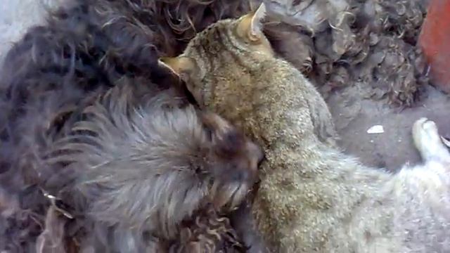 у меня есть смысл жизни до тех пор, пока у меня есть ты ) смотреть онлайн