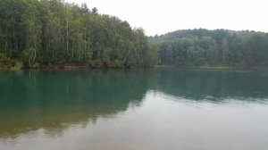 Черная мамба