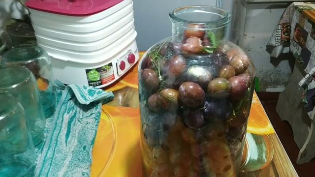 МОЧЕНЫЕ СЛИВЫ НА ЗИМУ смотреть онлайн