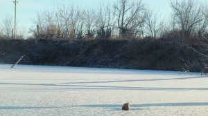 На лыжах бегать уже можно! И нужно!