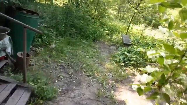 Как правильно собирать Жасмин смотреть онлайн