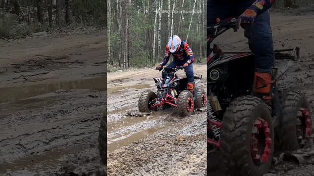 Мощный квадроцикл для подростка💪 Motorhead Race 125 #квадроцикл #квадро #atv #квадроциклы