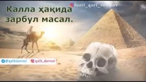 Allohning mo'jizasi Ustoz Fozil qori rahimahulloh kalla haqida masal