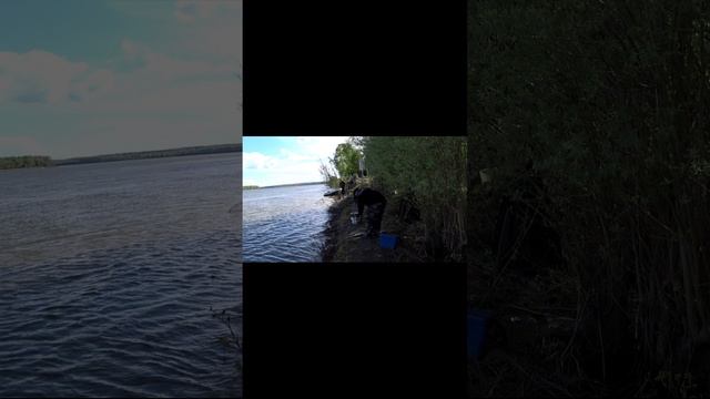 Дал ЛЕЩА ЛЕЩУ, попадали просто ВСЕ#shorts