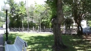 Будва как заказать такси