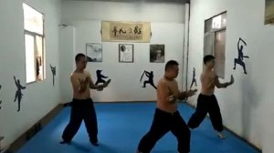Минхэ Цюань , Бабулянь школа Ю Шифу./Minghe Quan, Papuren School Yu Shifu./