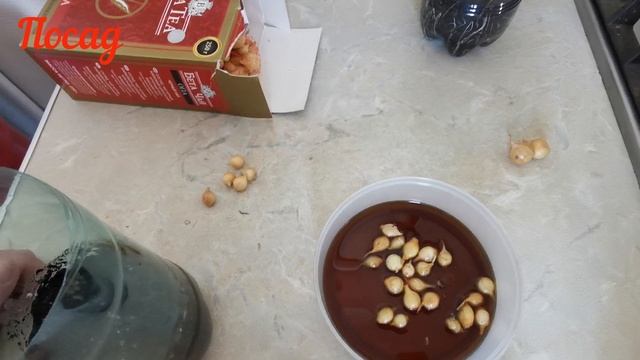 Не выбрасывайте мелкий севок, пока не посмотрите это видео! смотреть онлайн