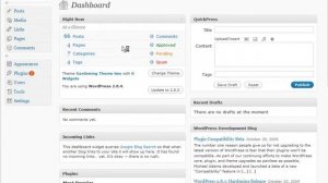 How To Add Stats Counter Code To Wordpress Blogs