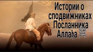 Истории сподвижников Пророка Мухаммада ﷺ