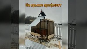 Вольер для Собаки с Будкой под ключ - strojnasto.ru - зимний дом для собаки - деревянный вольер