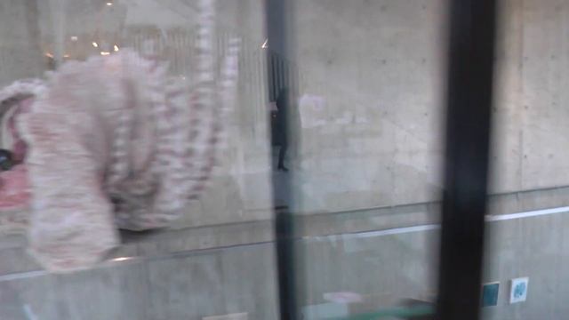 Стоматологический центр и огромная дверь! Неймеген, Nijmegen. Нидерланды (Netherlands). смотреть онлайн