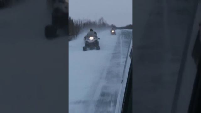 Езда на снегоходе YAMAHA PROFESSIONAL смотреть онлайн