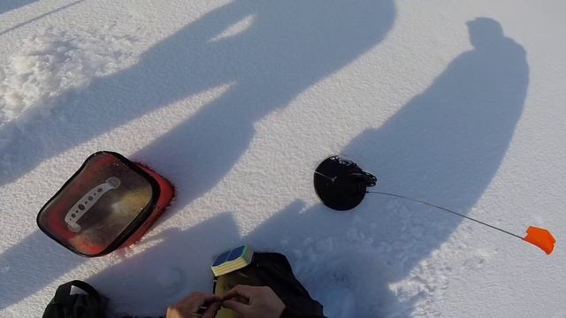 ЛОВЛЯ КАРПА ЗИМОЙ ИЗ ЛУНОК смотреть онлайн