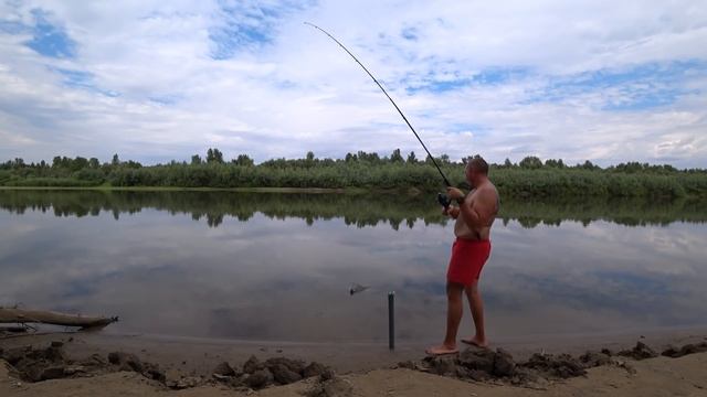 рыбалка на Ахтубе! 1000 и одна поклёвка! Ловля белого амура! смотреть онлайн