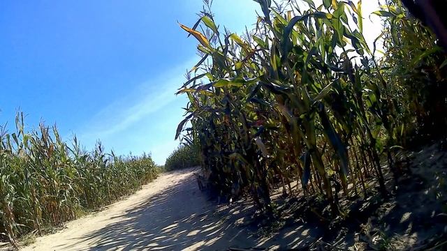 Как ухаживать за горным велосипедом. Как правильно мыть велосипед. How ...