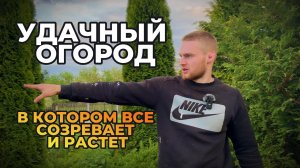 Обзор моего участка. Удачный огород раскрывает секреты здоровых растений и урожаев