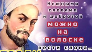 Саади. Цитаты и афоризмы.