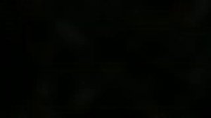 x20xev Капиталка ч 2 (сборка)