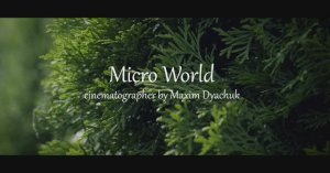 Micro World - природная зарисовка cinematographer by Maxim Dyachuk