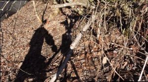 MAKITA | DUC101Z | Akku-Astsäge | Test/Review