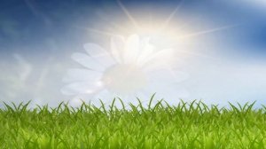 РОМАШКА  Сказка АНДЕРСЕНА