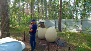ПАРК ДИНОЗАВРОВ или ДИНО ПАРК ЧЕЛЯБИНСК Июль 2022