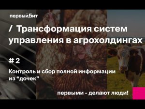 Часть 2: Контроль и сбор полной информации из «дочек» агрохолдингов