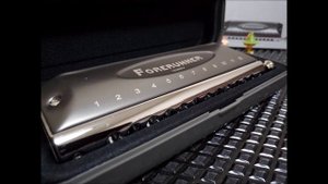 Easttop Forerunner 1248NV chromatic harmonica