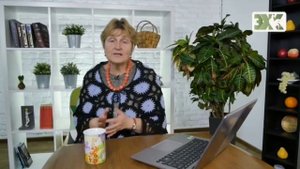 СЪЕДОБНЫЕ СОРТА РЯБИНЫ ЛУЧШИЕ СОВЕТЫ