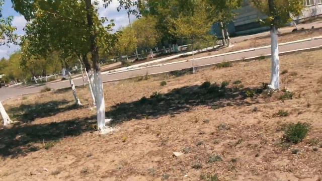 Когда у меня появилась собака, моя жизнь изменилась🐶 смотреть онлайн