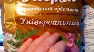 грунт для посадки саженцев винограда