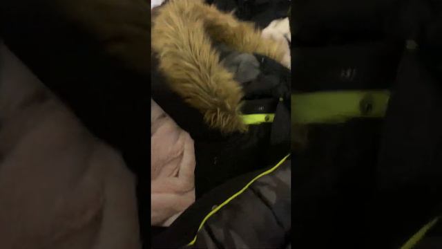 лот 3008 (ч5) смотреть онлайн