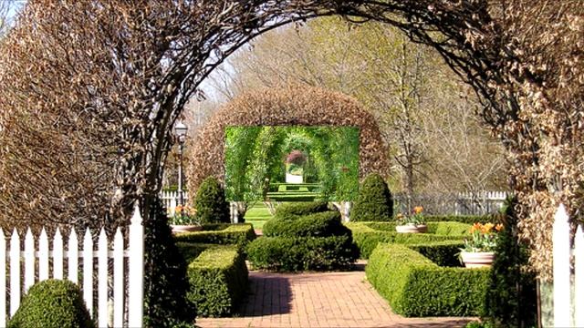 Арка садовая, конструкция из дерева смотреть онлайн