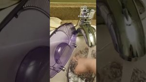 Как поменять воду в маленьком аквариуме
