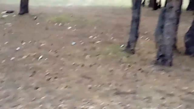 Йога -тур 25.8.18.Аманкарагай.(1) смотреть онлайн